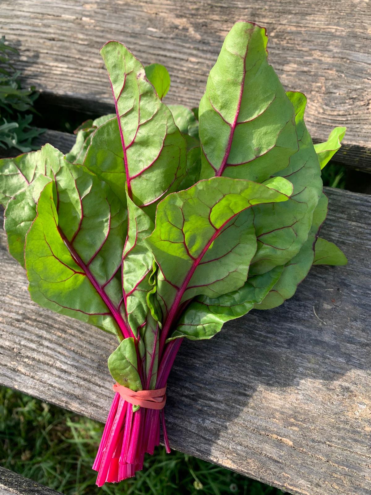 Swiss Chard
