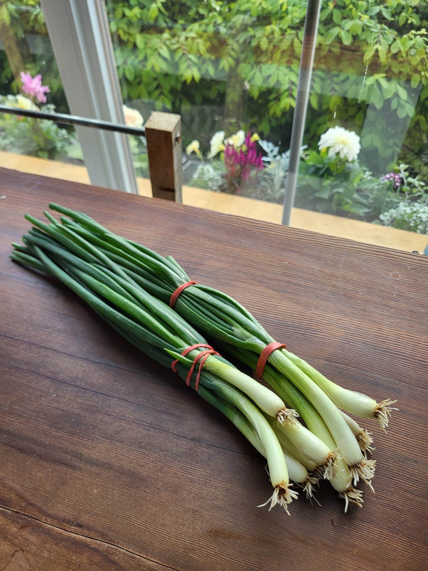 Green Onions