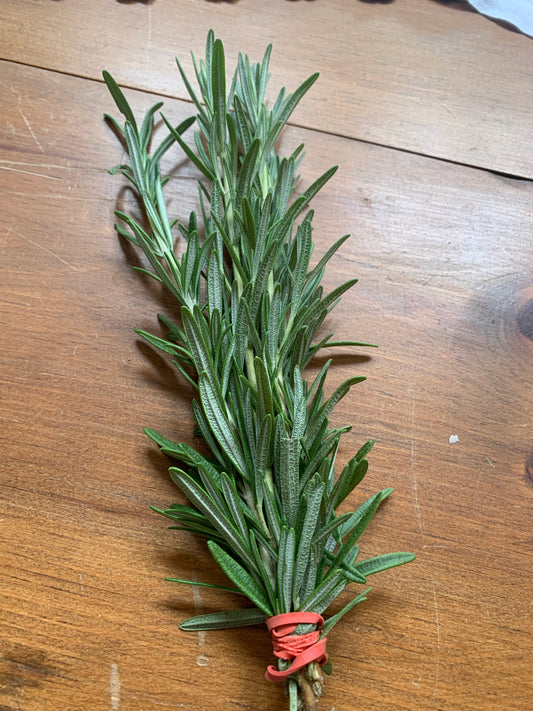 Rosemary