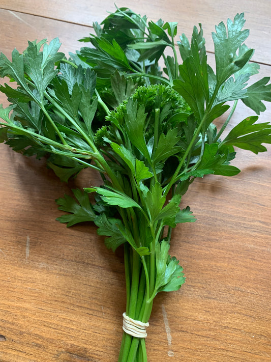 Parsley