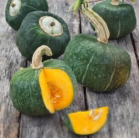 Squash (Buttercup)