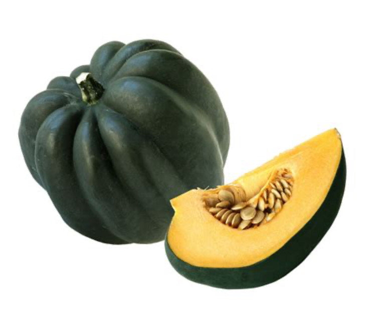 Squash (Acorn)