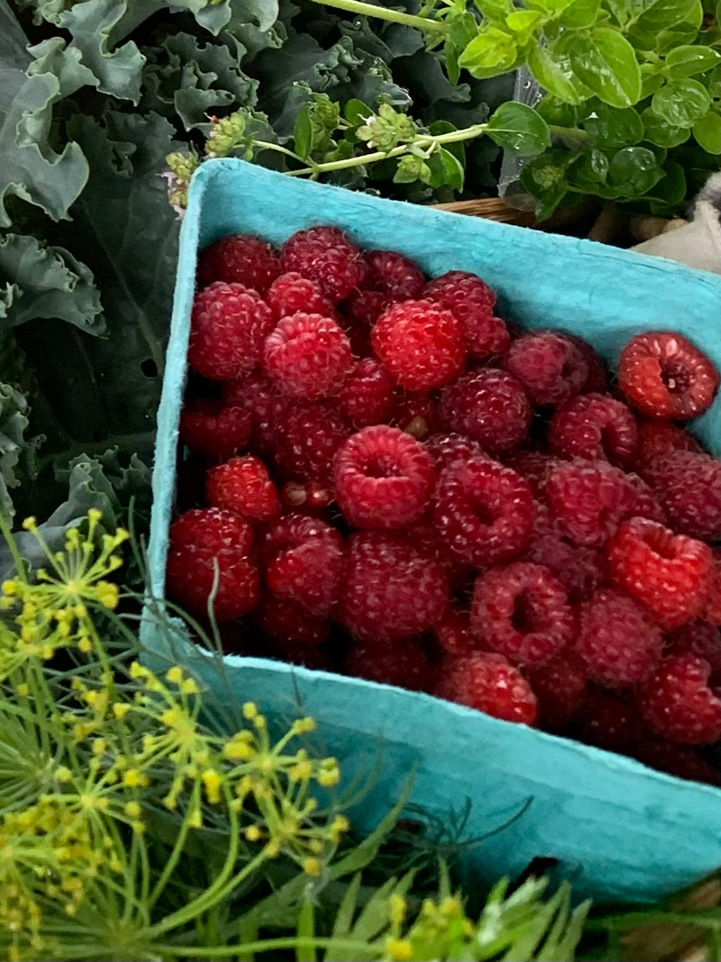 Raspberries