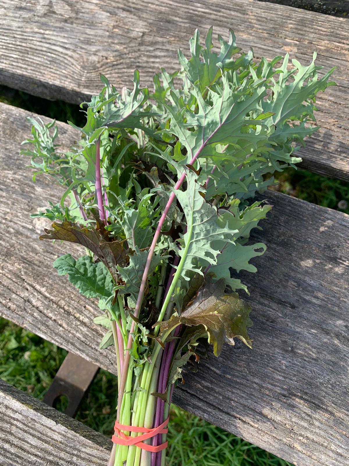 Kale