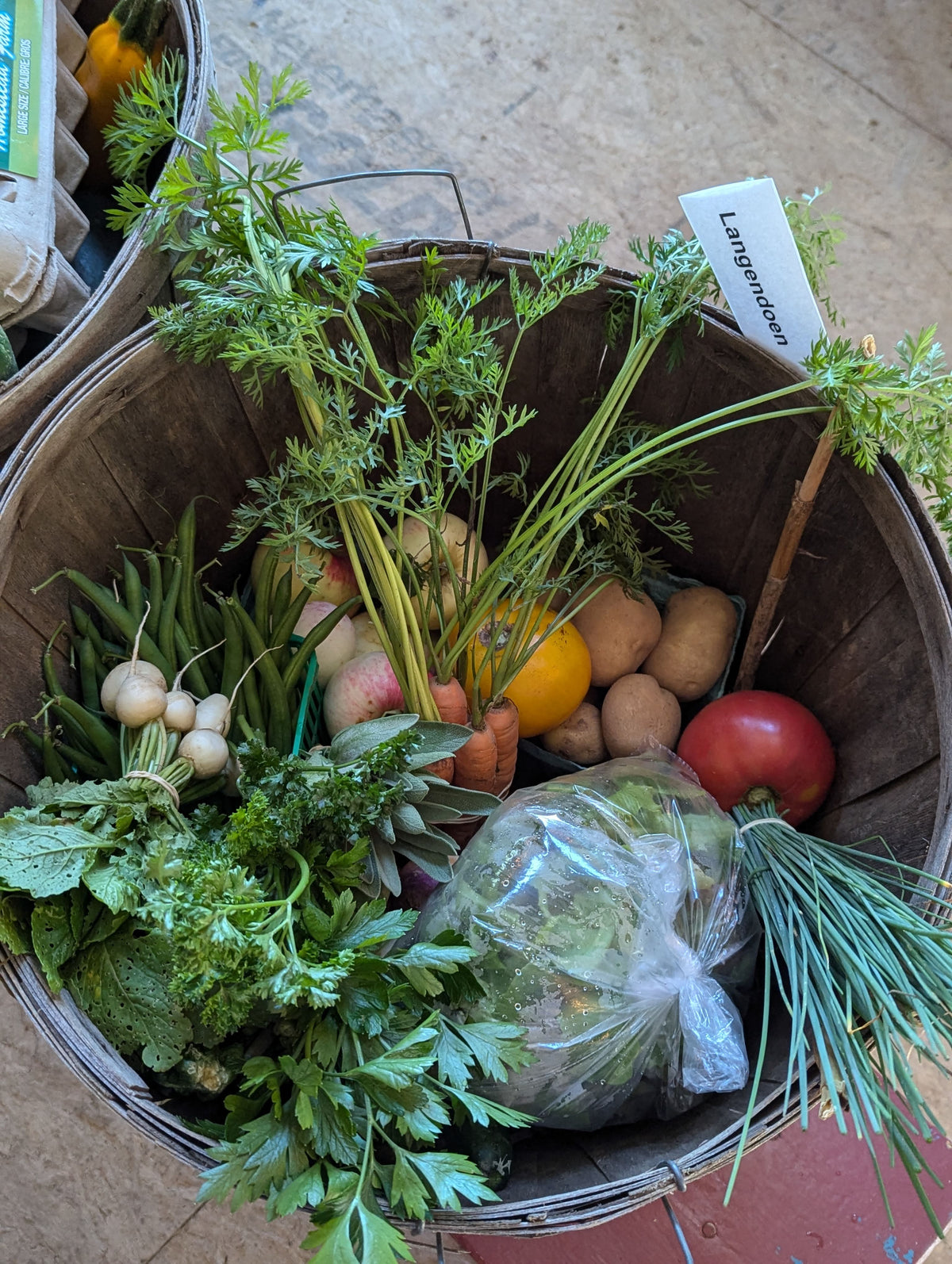 CSA Farm Share Basket- Single Week