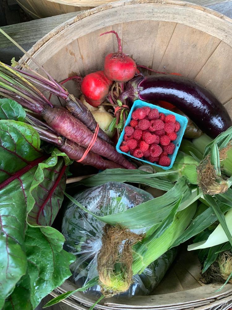 CSA Farm Share Basket- Single Week
