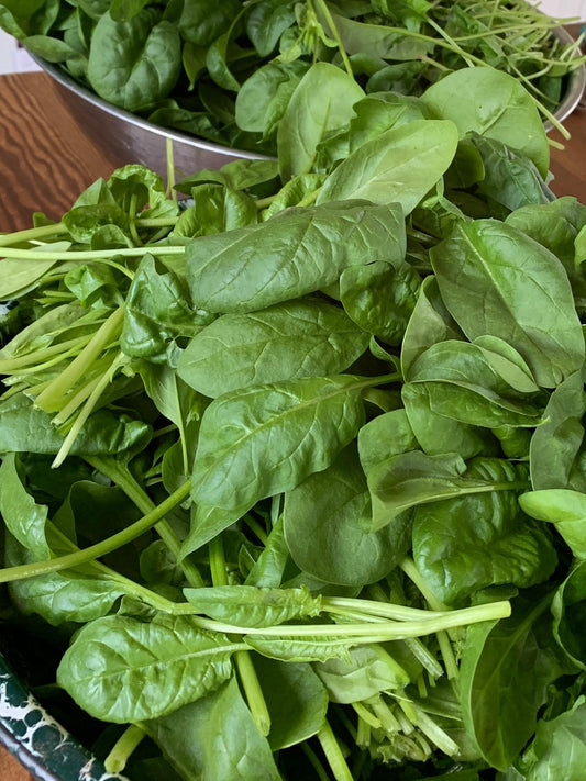 Spinach